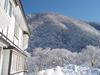 清水屋と裏山　館横